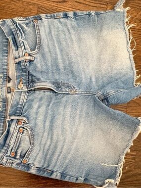 American Eagle Outfitters Light Blue Denim Jean Shorts